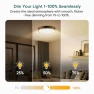 Превью Dimmer Switch with Magnetic Remote — Smart Switch, TREATLIFE