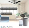 Превью Smart Ceiling Fan Light Wall Switch — Smart Switch, MOES
