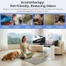 Превью Air Purifier for Large Room — Air Purifier, AIRTOK