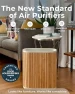 Превью Air Purifier Max — Air Purifier, Windmill