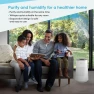 Превью 2-in-1 Air Purifier and Humidifier Combo — Air Purifier, InvisiClean