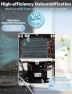 Превью 34 Pint Dehumidifier — Dehumidifier, LOMOTIVE