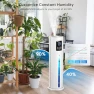 Превью Cool Mist Humidifier — Humidifier, Hiswelle