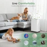 Превью Dehumidifier for Basement, Smart APP WiFi Control, 35 Pint — Dehumidifier, Manastin