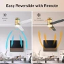 Превью 52” Smart Flush Mount Ceiling Fan with Lights and Remote — Smart Fan, Lorpies
