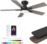 Превью 52” Smart Flush Mount Ceiling Fan with Lights and Remote — Smart Fan, Lorpies