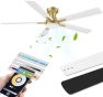 Превью 52” Smart Flush Mount Ceiling Fan with Lights and Remote — Smart Fan, Lorpies