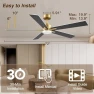 Превью Smart Ceiling Fan with Lights — Smart Fan, Livory