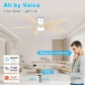 Превью Smart Low Profile Ceiling Fan with Light — Smart Fan, Lorpies