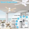 Превью Smart Low Profile Ceiling Fan with Light — Smart Fan, Lorpies