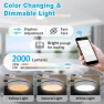 Превью Smart Low Profile Ceiling Fan with Light — Smart Fan, Lorpies