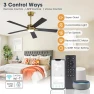 Превью Smart Ceiling Fan with Lights and 3 Downrods — Smart Fan, WINGBO