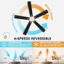 Превью Smart Ceiling Fan with Lights and 3 Downrods — Smart Fan, WINGBO