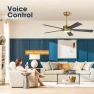 Превью Smart Ceiling Fan with Lights and 3 Downrods — Smart Fan, WINGBO