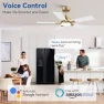Превью Smart Ceiling Fan with Lights — Smart Fan, Hoenofly