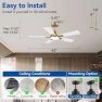 Превью Smart Ceiling Fan with Lights — Smart Fan, Hoenofly