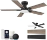 Превью Smart Ceiling Fan with Lights — Smart Fan, Hoenofly