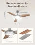 Превью Smart Ceiling Fan with Lights — Smart Fan, Dreo