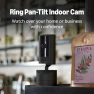 Превью Pan-Tilt Indoor Cam — Security Camera, Ring