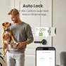 Превью Smart Fingerprint Door Lock — Smart Lock, GHome Smart