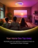 Превью LED Ceiling Light with Bluetooth Speaker — Desk Lamp, Ghettalinn