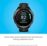 Превью Forerunner 965 Running Smartwatch, Colorful AMOLED Display, Training Metrics and Recovery Insights — Fitness Tracker, Garmin