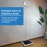Превью Physician Scale (660 lb) — Smart Scale, FAFAGLGL