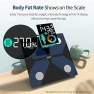 Превью Body Fat Measuring Tape and Smart Scale — Smart Scale, Slimpal