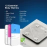 Превью Body Tracker Digital Bathroom Scale — Smart Scale, Nautica