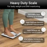 Превью Smart Body Weight Scale (550lbs Capacity) — Smart Scale, Vive Precision