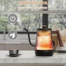 Превью Gooseneck Electric Kettle with Thermometer — Electric Kettle, Anfilank