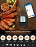 Превью Bluetooth Meat Thermometer Bundle with Smart Electric Kettle — Electric Kettle, Govee