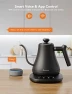 Превью Bluetooth Meat Thermometer Bundle with Smart Electric Kettle — Electric Kettle, Govee