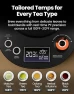 Превью Electric Gooseneck Kettle with Precise Temperature Control — Electric Kettle, Vianté