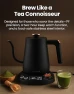Превью Electric Gooseneck Kettle with Precise Temperature Control — Electric Kettle, Vianté