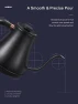 Превью Electric Gooseneck Kettle with Temperature Control — Electric Kettle, Aiheal