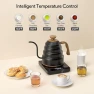 Превью Electric Gooseneck Kettle — Electric Kettle, kwkwoice