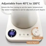 Превью Gooseneck Electric Kettle with Variable Temperature Control — Electric Kettle, ShunChengFa