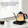 Превью Gooseneck Electric Kettle — Electric Kettle, REXYHOME