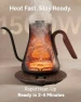Превью Gooseneck Electric Kettle — Electric Kettle, INTASTING