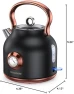 Превью Retro Electric Kettle with Temperature Gauge — Electric Kettle, NESSGRAIM