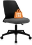 Превью Armless Home Office Chair, Small Ergonomic Mesh Back Desk Chair with Lumbar Support and Wheels — Smart Chairs, CLATINA