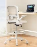 Превью Drafting Chair with Foot Ring and Lumbar Support — Smart Chairs, ErGear