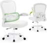Превью Ergonomic Desk Chair with Adjustable Lumbar Support — Smart Chairs, AreShark
