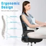 Превью Ergonomic Office Chair, Mid Back Desk Chairs with Adjustable Height, Swivel Chair with Flip-Up Arms and Lumbar Support,... — Smart Chairs, naspaluro