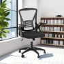 Превью Ergonomic Office Chair, Mid Back Desk Chairs with Adjustable Height, Swivel Chair with Flip-Up Arms and Lumbar Support,... — Smart Chairs, naspaluro