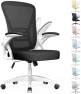 Превью Ergonomic Office Chair, Mid Back Desk Chairs with Adjustable Height, Swivel Chair with Flip-Up Arms and Lumbar Support,... — Smart Chairs, naspaluro