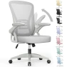 Превью Ergonomic Office Chair, Mid Back Desk Chairs with Adjustable Height, Swivel Chair with Flip-Up Arms and Lumbar Support,... — Smart Chairs, naspaluro