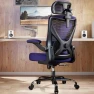 Превью Ergonomic Office Chair with Back Support — Smart Chairs, Ergalithic