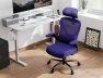 Превью Ergonomic Office Chair with Back Support — Smart Chairs, Ergalithic